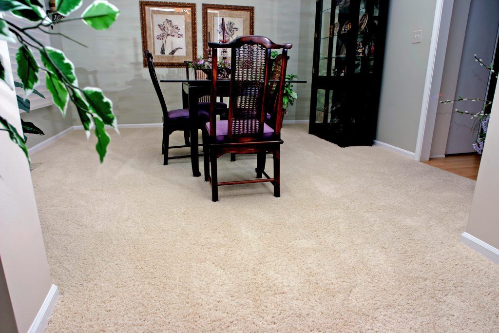 carpets that hide stains